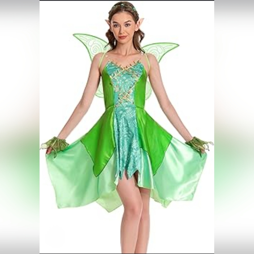 Fairy Princess Dress with Wings & Ears, Elf Headpiece Costome